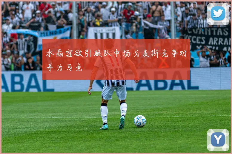 水晶宫欲引狼队中场戈麦斯竞争对手为马竞
