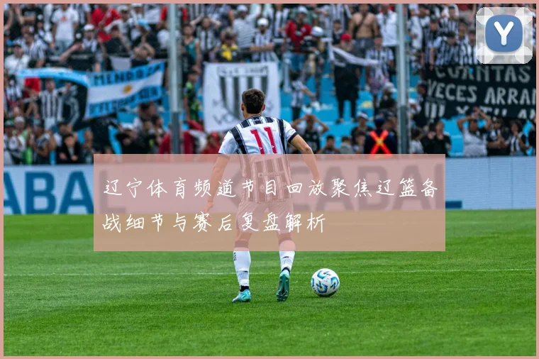 辽宁体育频道节目回放聚焦辽篮备战细节与赛后复盘解析